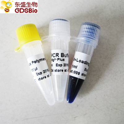 पीसीआर P1031 P1032 P1033 P1034 के लिए ब्लू बफर टैक प्लस डीएनए पॉलीमरेज़