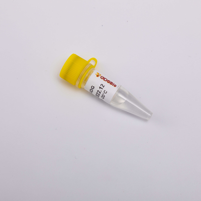 रियल टाइम पीसीआर यूडीजी के लिए हीट लैबाइल मास्टर मिक्स अत्यधिक प्रभावी एंटी संदूषण एंजाइम